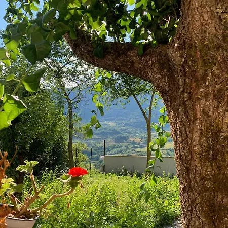 B&B Al San Francesco-3